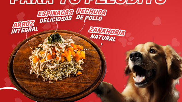 486046253_1074345718044814_5675309290168872927_n