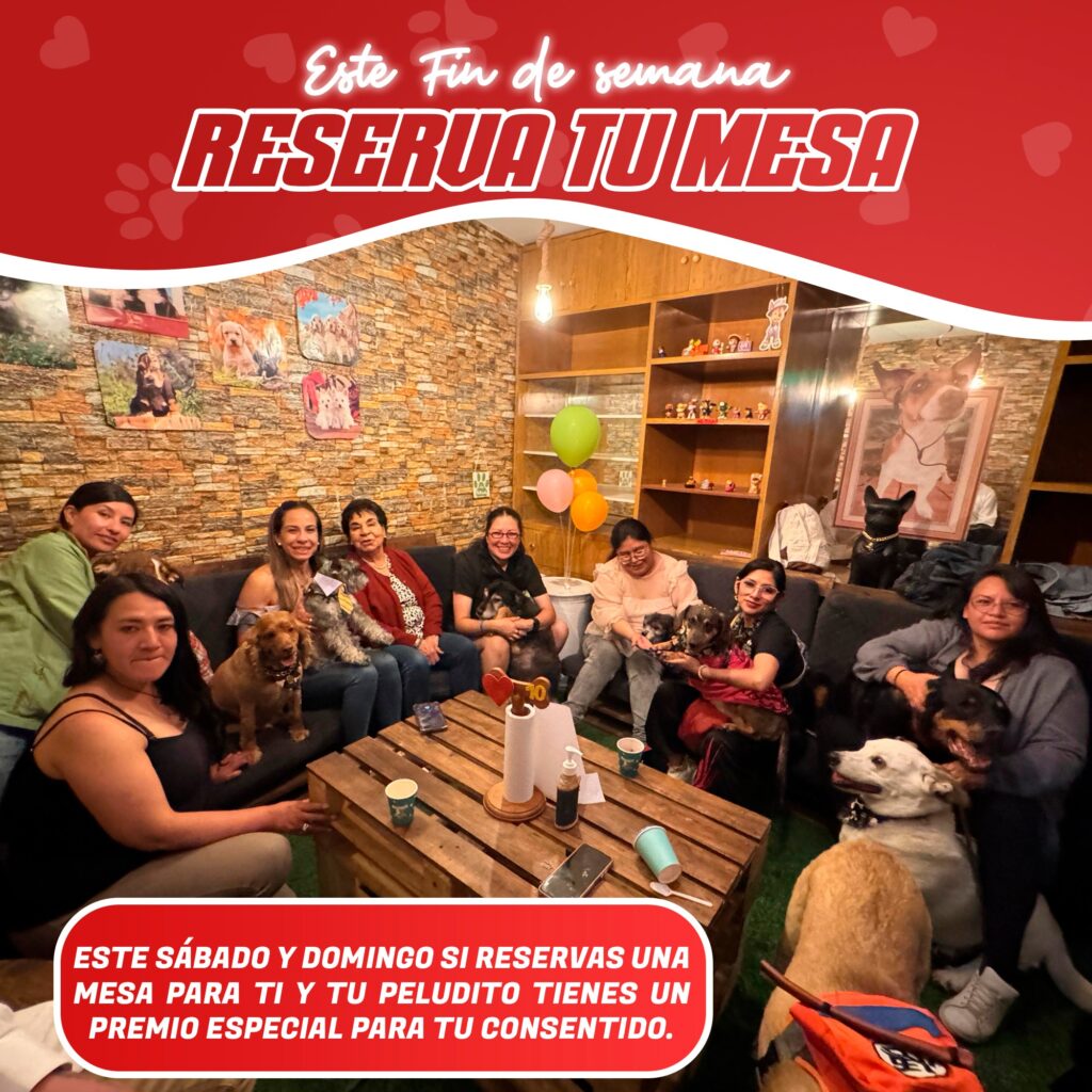 486352834_1074005488078837_1858328590681418169_n