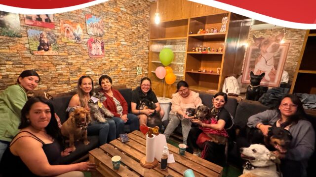 486352834_1074005488078837_1858328590681418169_n