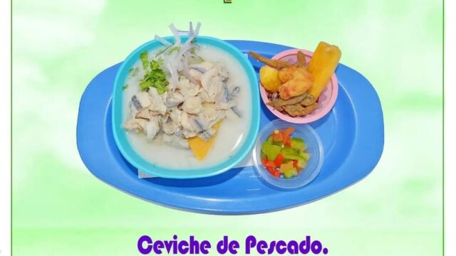 486392463_1205196811614197_9026657599014174854_n