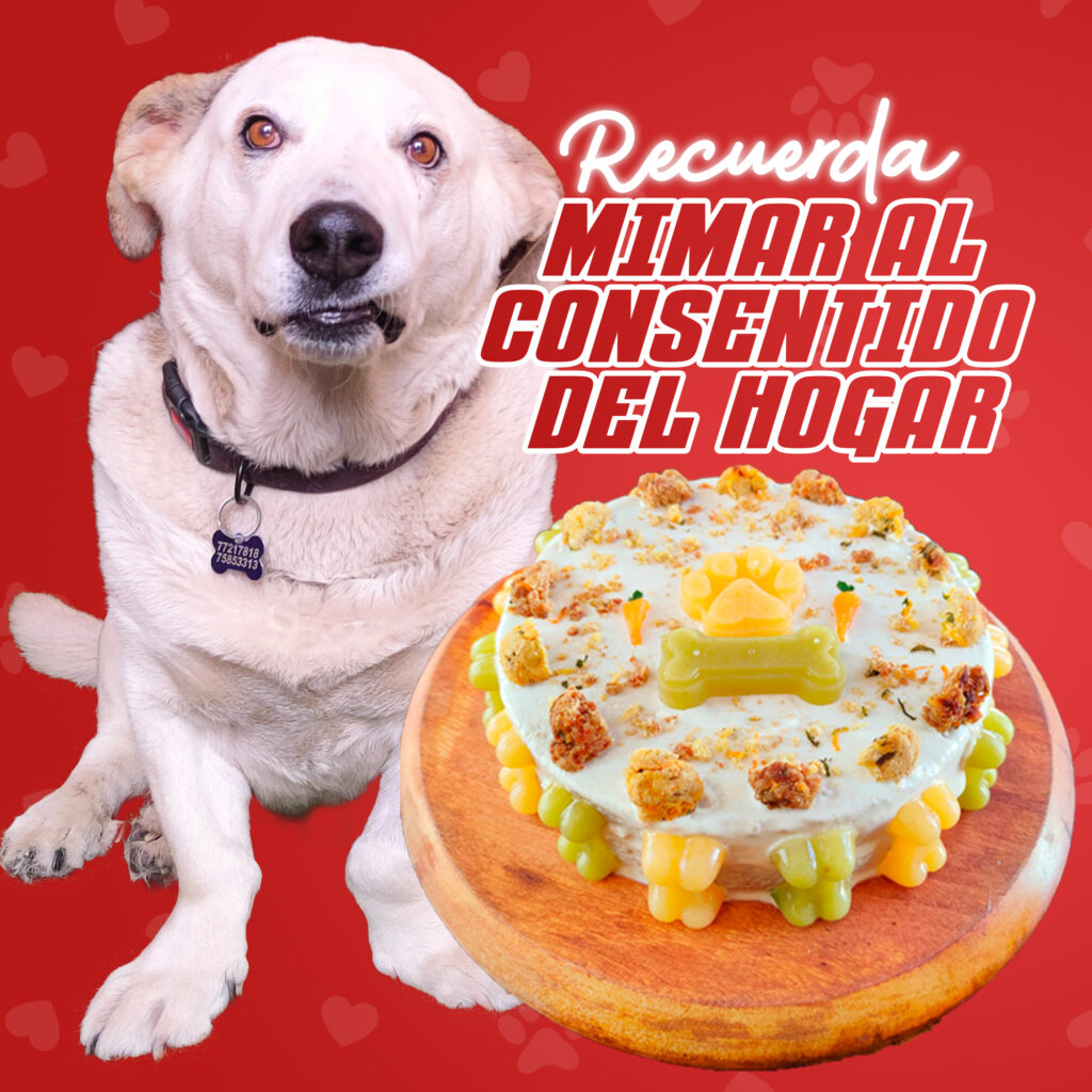 486472778_1074349858044400_762677229789969106_n