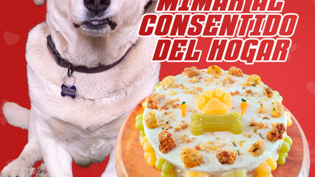 486472778_1074349858044400_762677229789969106_n