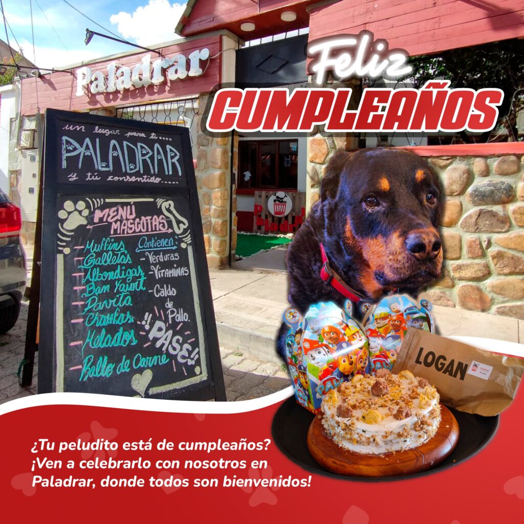 486560316_1074002734745779_3050501081515533484_n