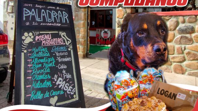 486560316_1074002734745779_3050501081515533484_n