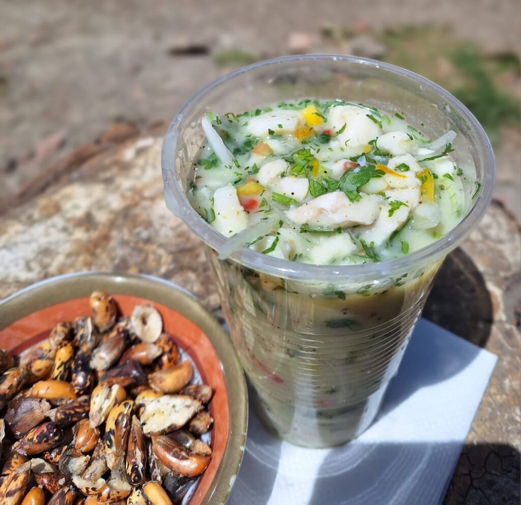 486576842_1184972533639248_1948387284078060386_n