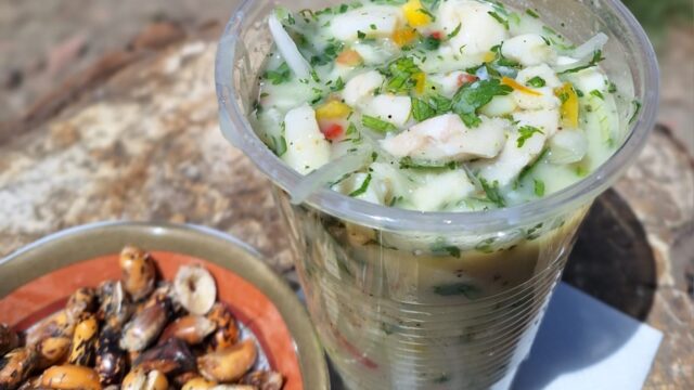 486576842_1184972533639248_1948387284078060386_n