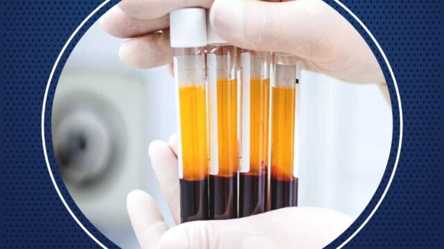 486844289_9581832061856082_5284189342125015606_n