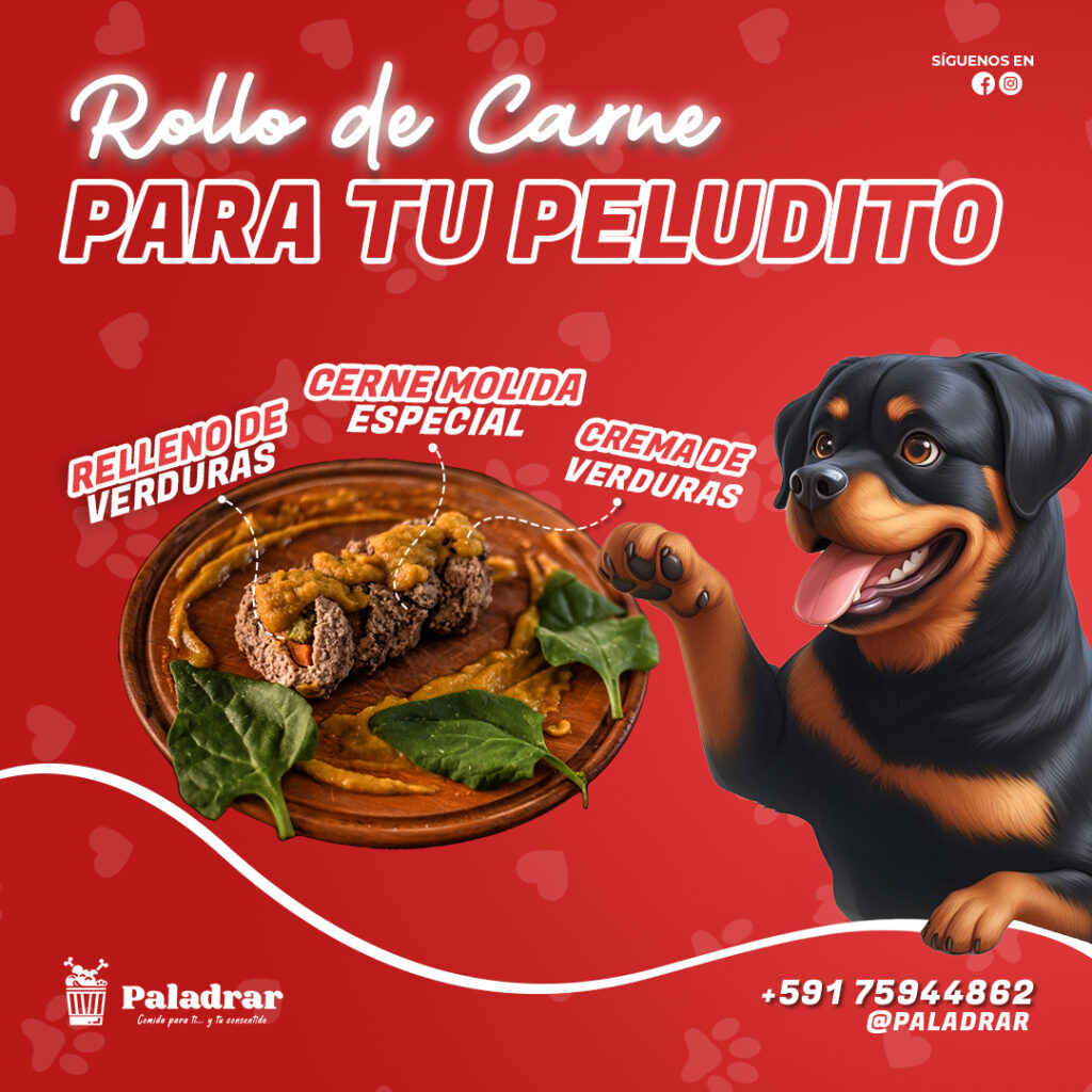 486970921_1074345648044821_7200029982948341508_n