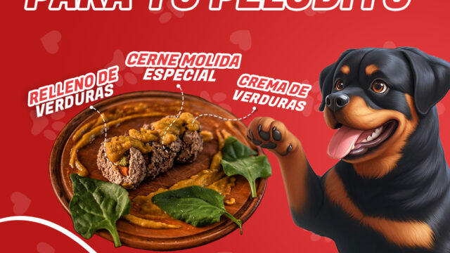 486970921_1074345648044821_7200029982948341508_n