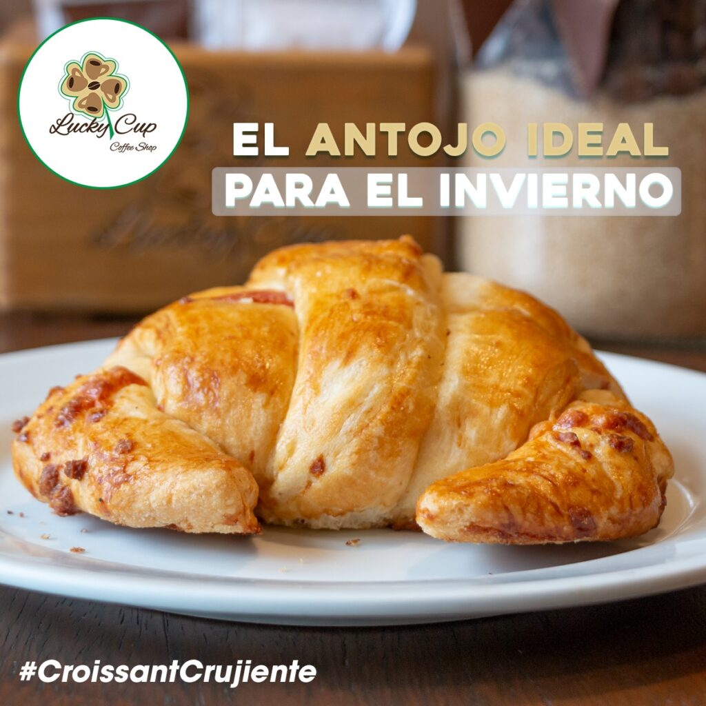 487073053_1054952239991833_3825362136586604461_n