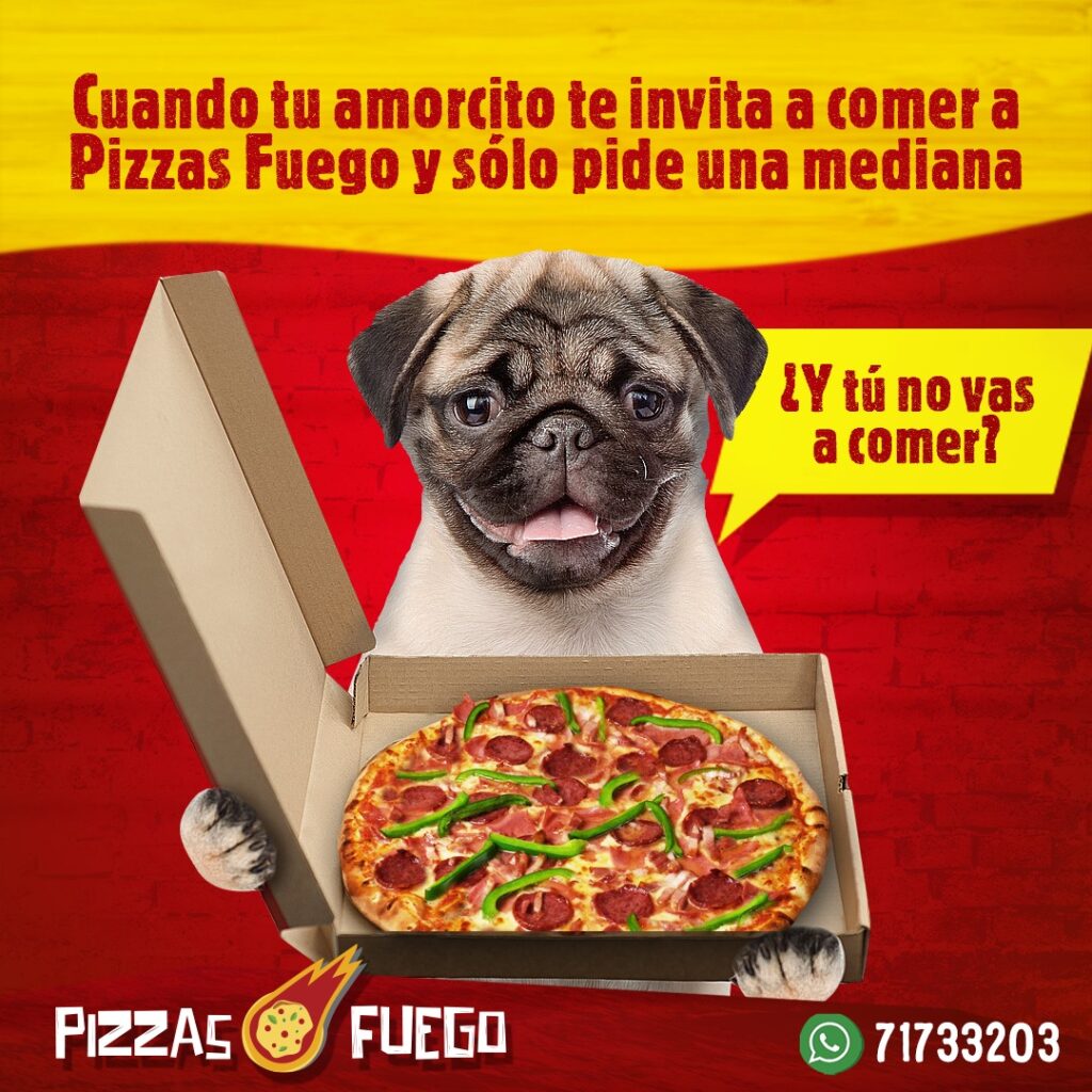 488190515_1155497639924698_7407220642753134484_n