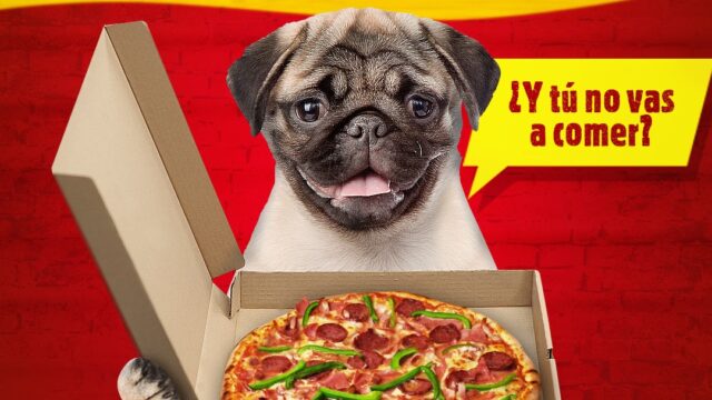 488190515_1155497639924698_7407220642753134484_n