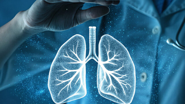 489957135_1260569172741205_5476863193212738238_n