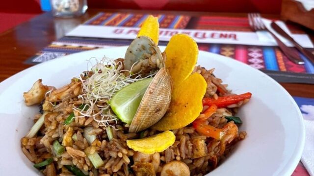 495388034_1195949429070042_8939773685700988049_n