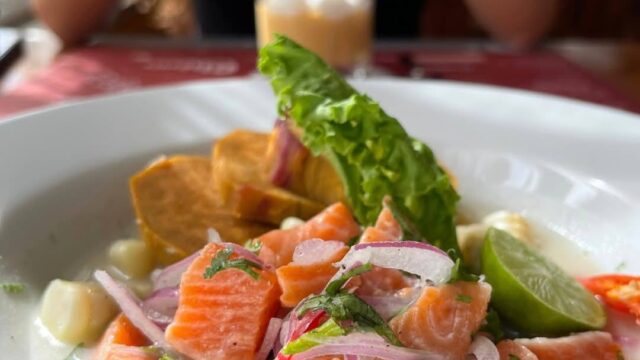 495700649_1195950202403298_2533319739423724202_n