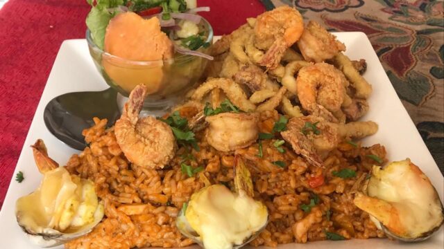 498183696_1256103596516345_179419801776771375_n