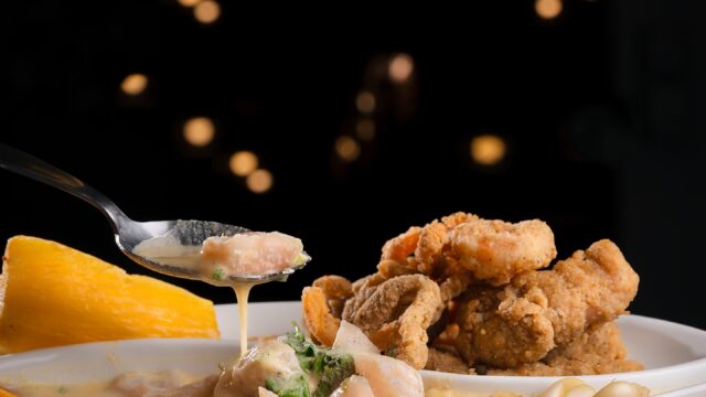 500557713_18272047564286574_3276827411404453973_n