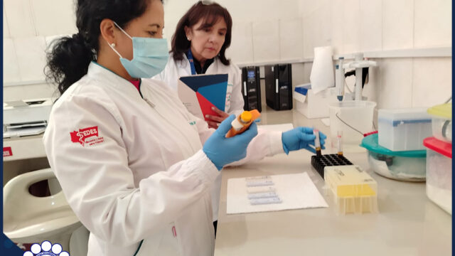 503345722_1033121102266232_5218234645486254828_n