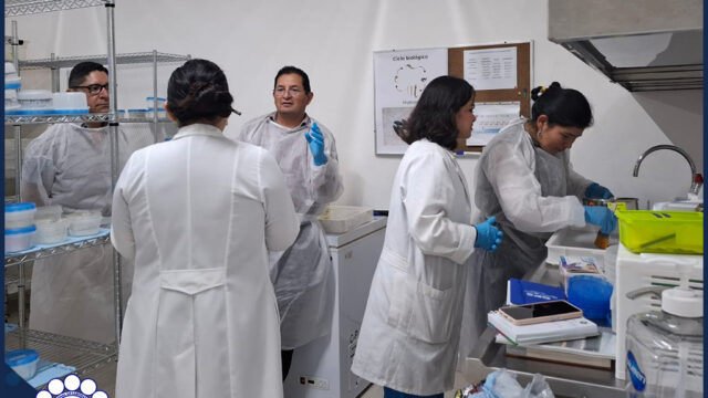 503475259_1030909382487404_3307503258735898805_n