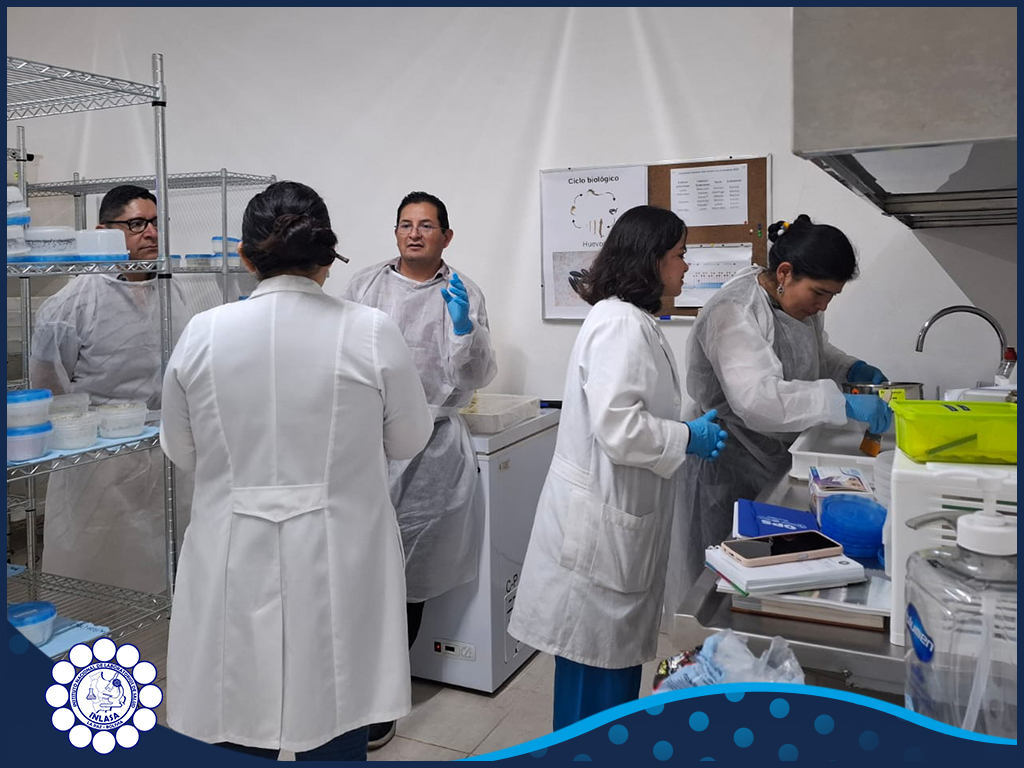 503475259_1030909382487404_3307503258735898805_n