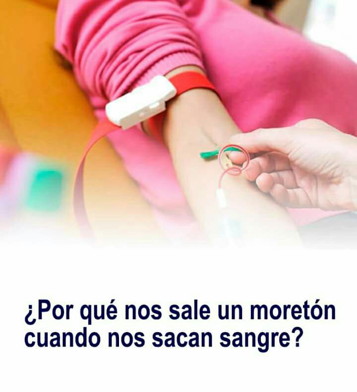 508008822_9883523598442990_5950356562669695726_n