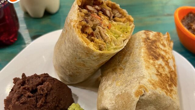 509295706_1124809236335138_7822879078330142060_n