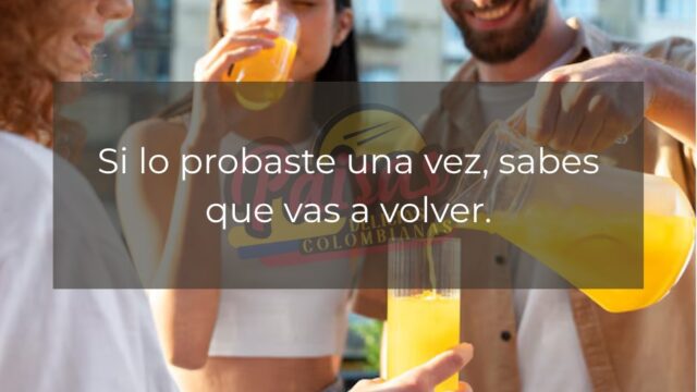 509422786_1305053661620271_7883893654139232309_n