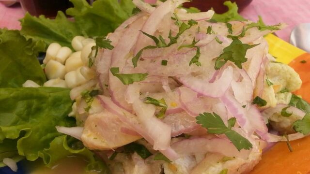 515000112_24195784783366849_1669007537469809310_n