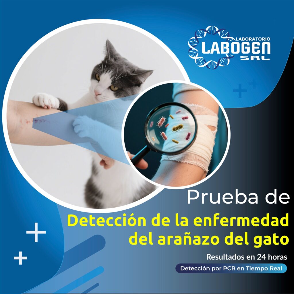 515437155_1297838315685022_5796776737686597932_n