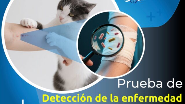 515437155_1297838315685022_5796776737686597932_n