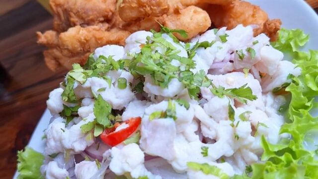 515502799_1286582423478063_6815685976965058049_n