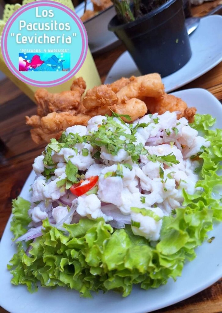 515502799_1286582423478063_6815685976965058049_n