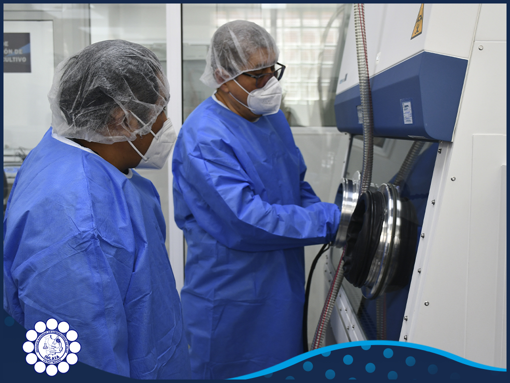 516762672_1056532373258438_6843209347241028145_n