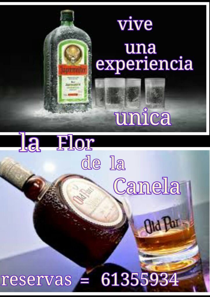 516794712_3011984762333391_371895120482800170_n