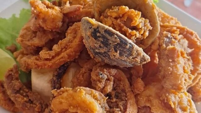 518367600_1286582556811383_3578956807772886401_n