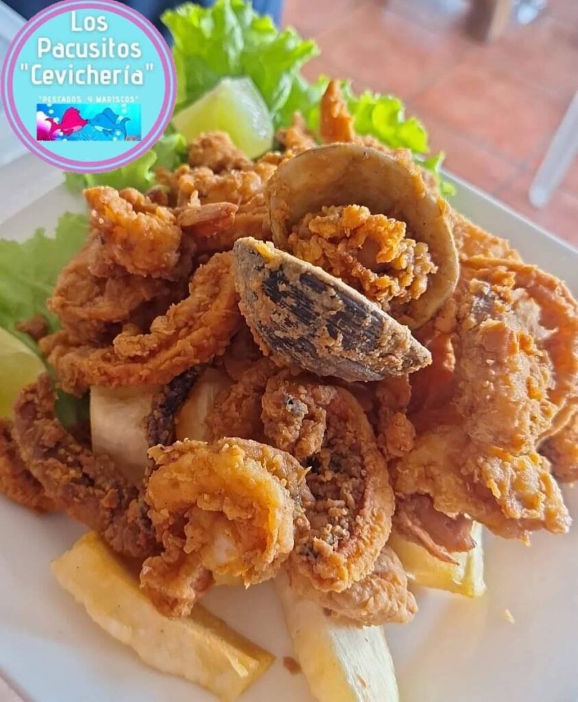 518367600_1286582556811383_3578956807772886401_n