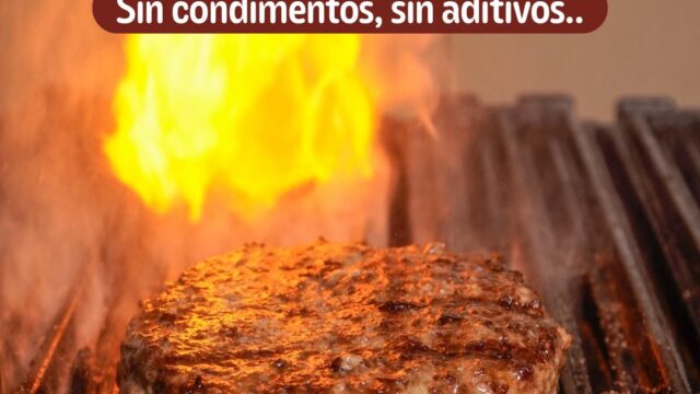 518390392_1147809747371731_2124604346745341510_n