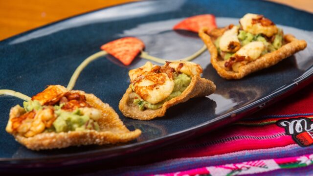 523448566_1256877846476590_1177169847189664770_n