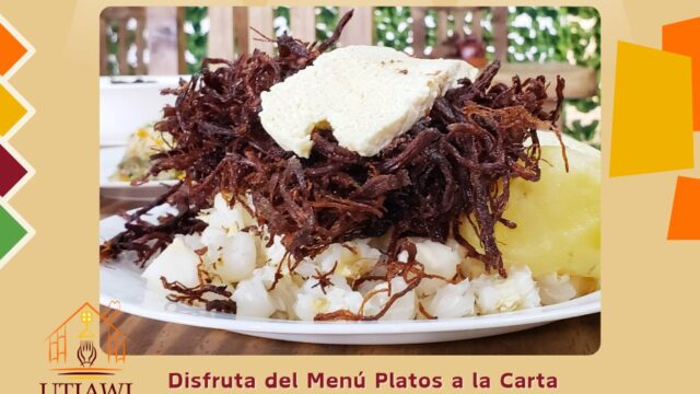 528366312_767605539538056_5900582560421457068_n