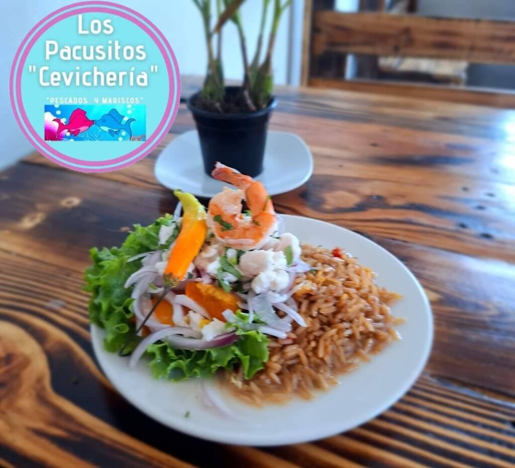 529691931_1286582633478042_1791765739987953171_n