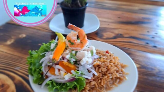 529691931_1286582633478042_1791765739987953171_n