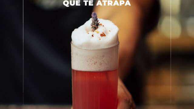 531805828_782553304302145_410404211367277335_n