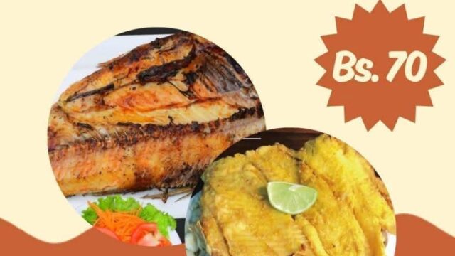 533252059_1176986514446542_3312922177029620637_n