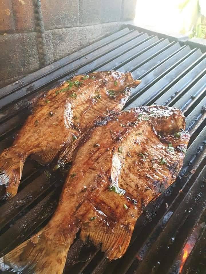 536270501_1201000645394234_5993027476964748836_n