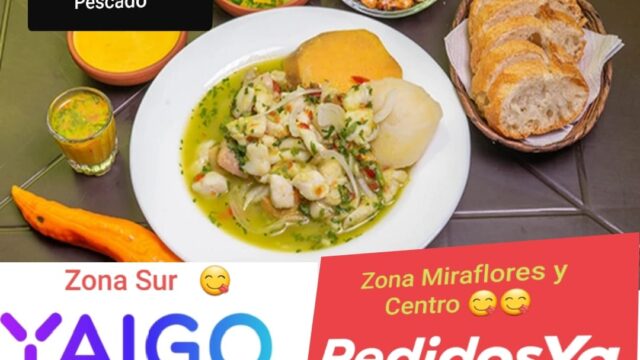 86720501_2636811953216632_3217378959419244544_n