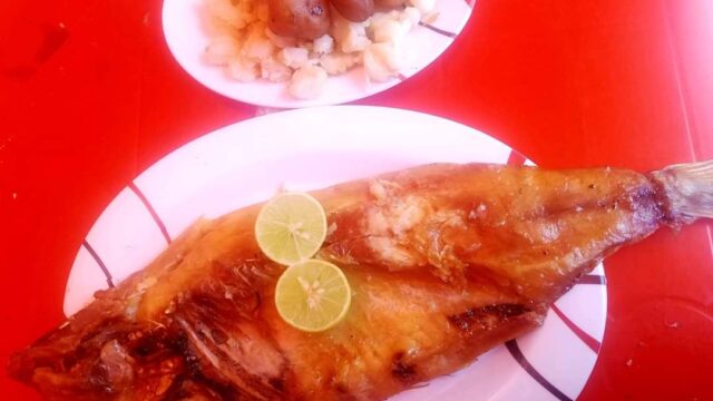 98201870_2938072712975554_5188617735369654272_n