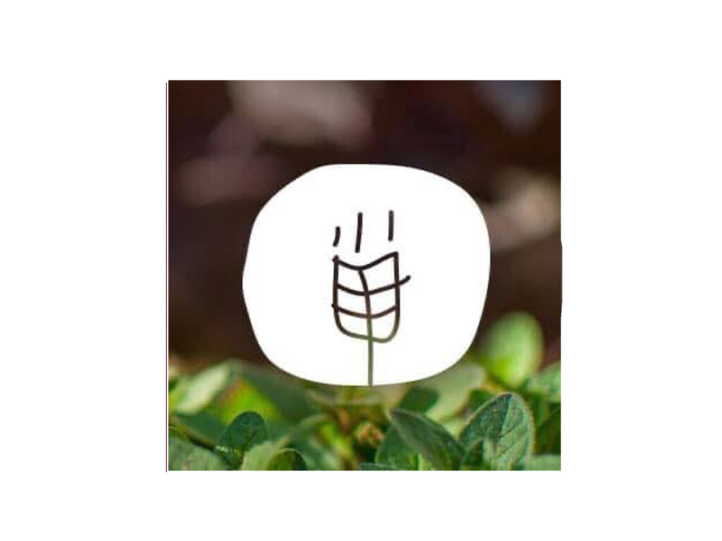 Restaurante Clementina