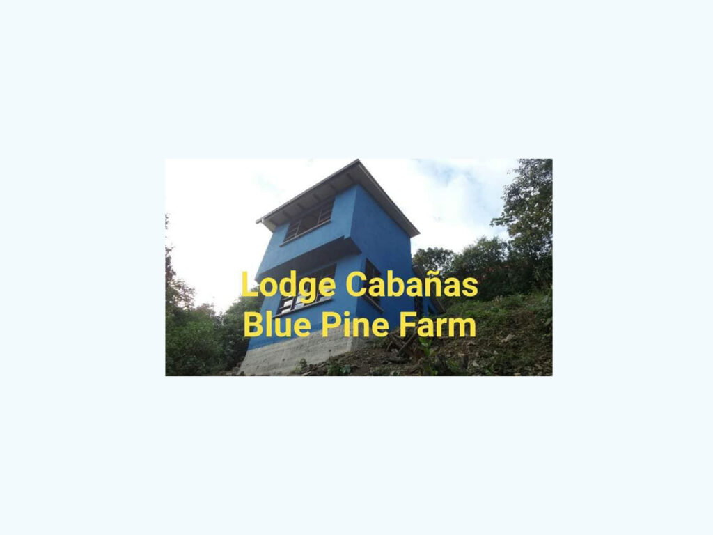 Coroico Cabins Rental Cabanas Hospedaje and Shop, Blue Pine Farm