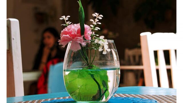 125961613_1281322348887398_6472107438444135126_n