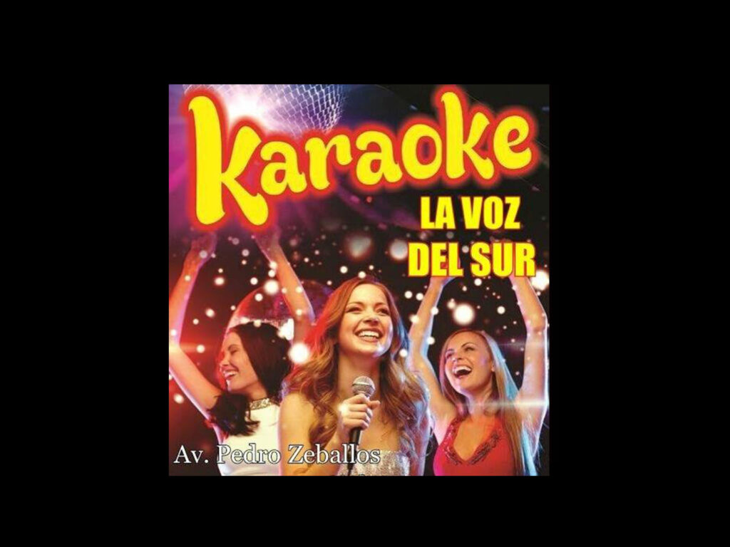 Karaoke la voz del sur